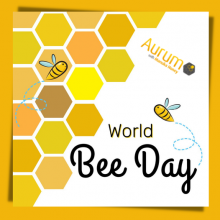 Światowy Dzień Pszczół 