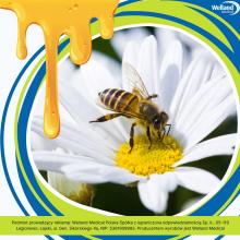 Ciekawostki - Pszczoły miodne
